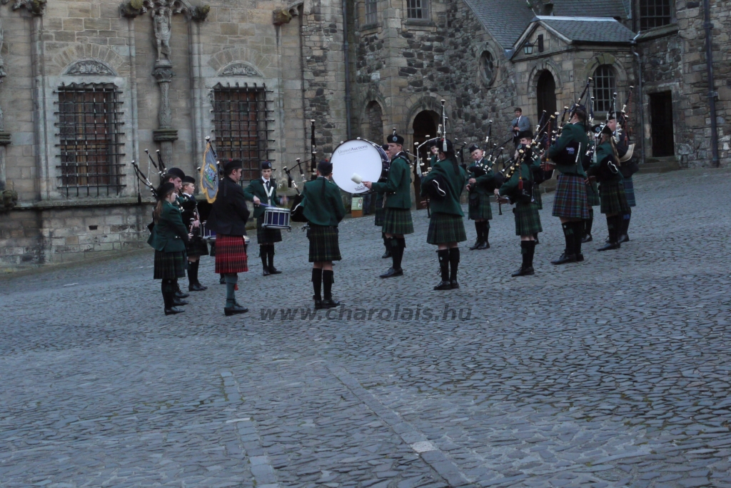 WCC Nagy-Britannia 2012 - DZ